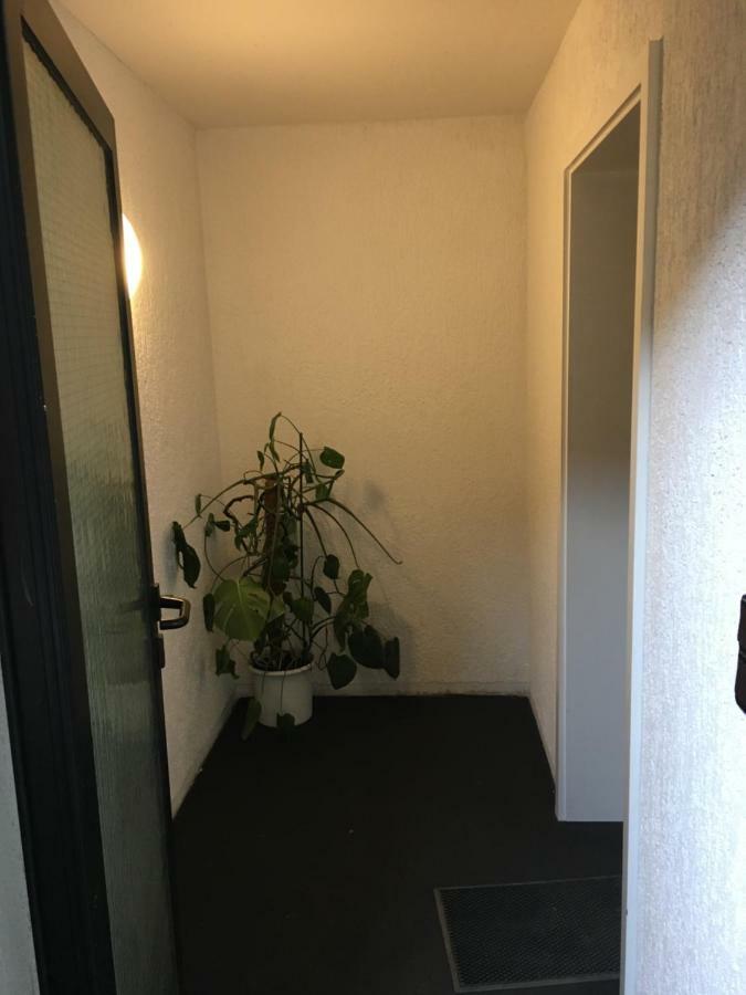 Ferienwohnung-Birlenbach Екстериор снимка